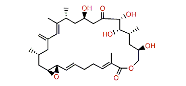 Amphidinolide G2